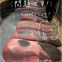 画像443