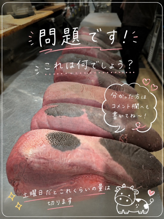 画像443