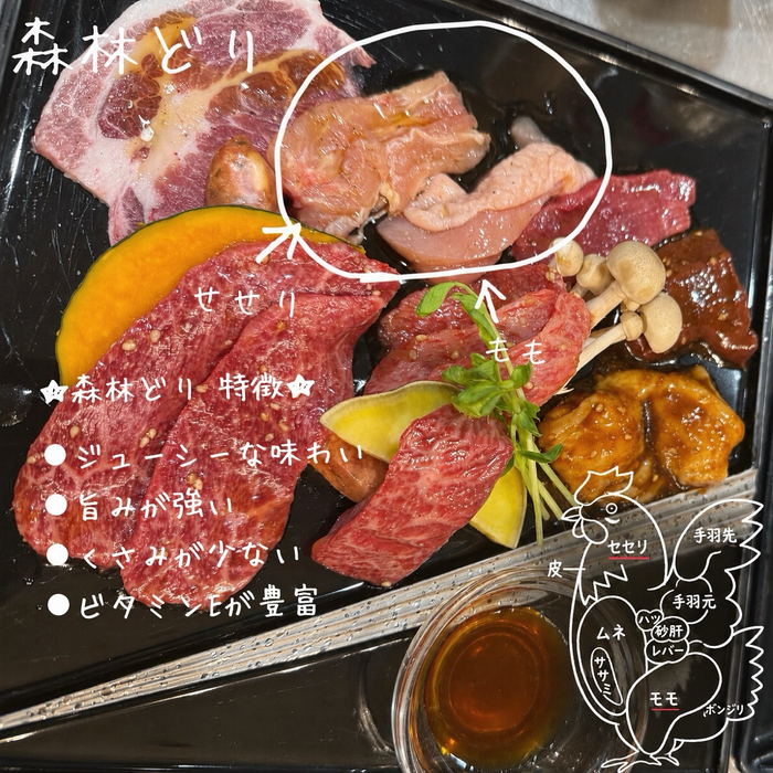 画像524